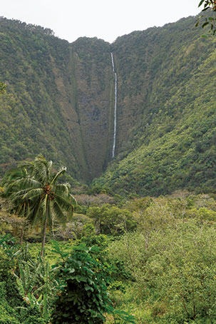 ハワイはアクティビティ天国 人気のツアーで常夏の楽園を遊び尽くそう ハワイスタイル